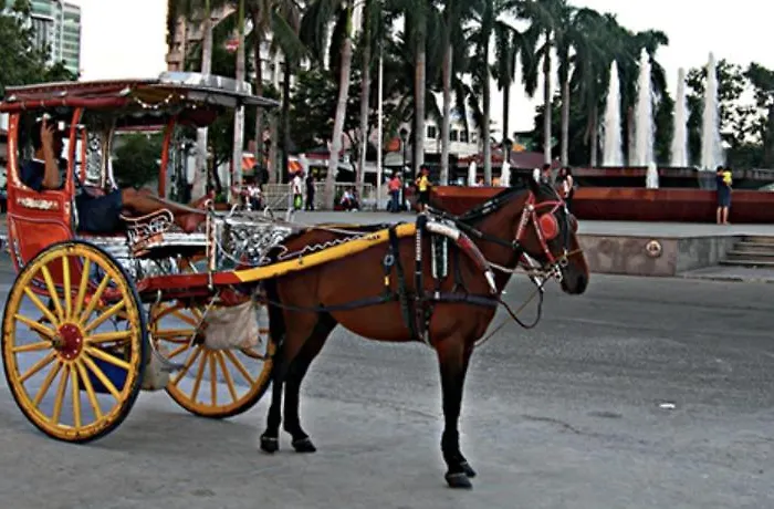 Apartahotel Birch Tower *
